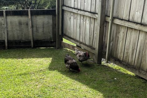 Photo of property in 57 Candia Road, Henderson Valley, Auckland, 0614