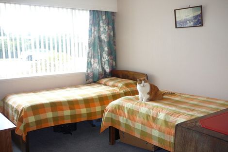 Photo of property in 22 Station Street, Alexandra, 9320