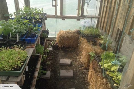 Photo of property in 148 Maskells Road, Balcairn, Amberley, 7481