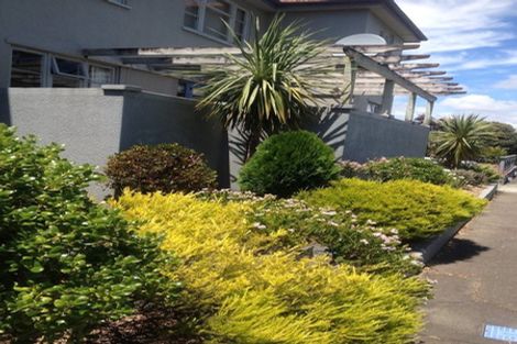 Photo of property in 16 Freyberg Street, Roslyn, Palmerston North, 4414