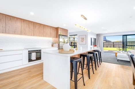 Photo of property in 58 Whitehorn Drive, Lincoln, 7608