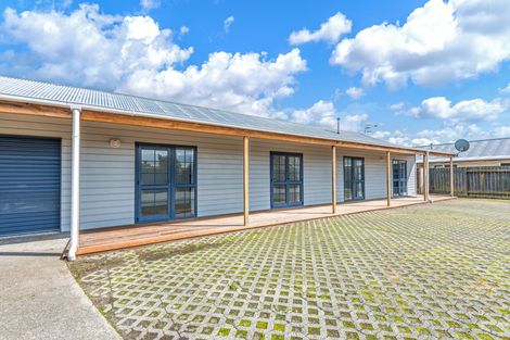 Photo of property in 415 Tremaine Avenue, Takaro, Palmerston North, 4412