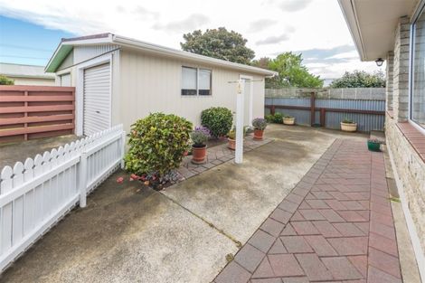 Photo of property in 24b Fitzherbert Avenue, Springvale, Whanganui, 4501