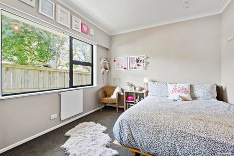 Photo of property in 285 Wellington Street, Pukekohe, 2120