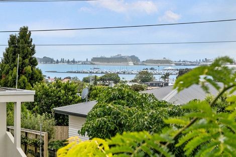 Photo of property in 38 Milton Road, Otumoetai, Tauranga, 3110