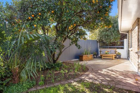 Photo of property in 232 Scott Street, Redwoodtown, Blenheim, 7201