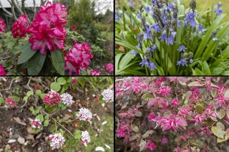 Photo of property in 86 Mountain Road, Oropi, Tauranga, 3173