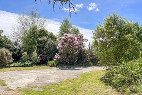 Photo of property in 685 Troutbeck Road, Galatea, Murupara, 3079