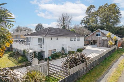 Photo of property in 60 Totara Street, Putaruru, 3411