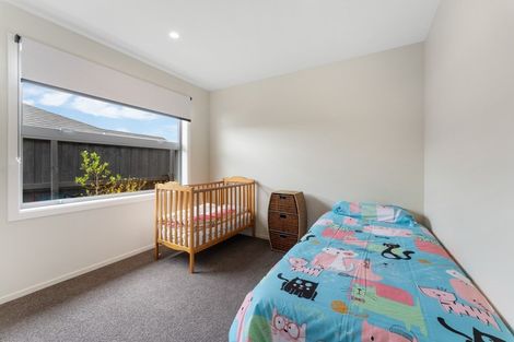 Photo of property in 9 Foxbridge Lane, Lincoln, 7608