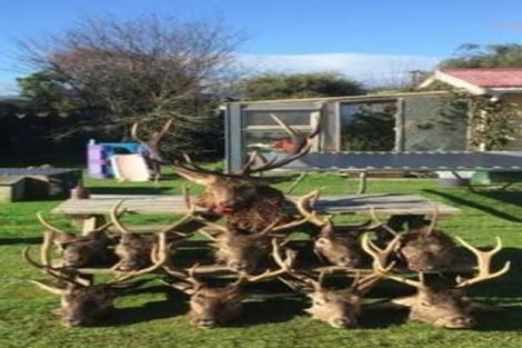 Photo of property in 3 Morton Street, Tuatapere, 9620