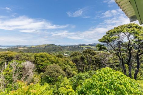 Photo of property in 800 Buffalo Road, Coromandel, 3506