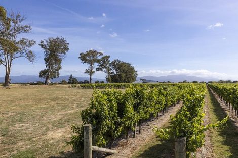 Photo of property in 29 Hardings Road, Riverlands, Blenheim, 7274