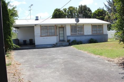 Photo of property in 24 Hinau Street, New Lynn, Auckland, 0600