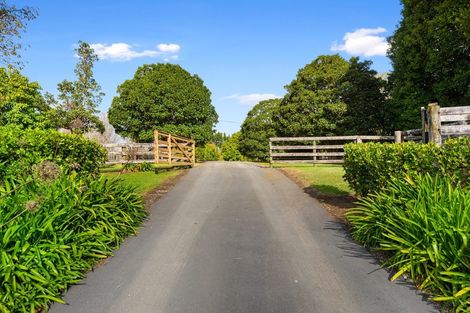 Photo of property in 137 Shelly Beach Road, Shelly Beach, Helensville, 0874