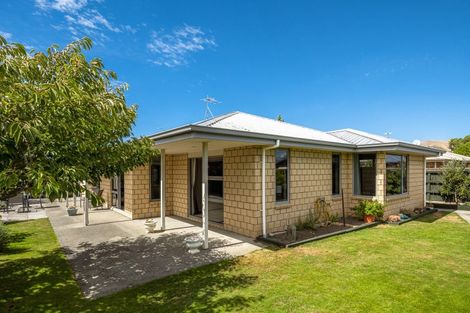 Photo of property in 42 Tremorne Avenue, Blenheim, 7201