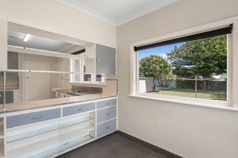 Photo of property in 48 Wood Street, Takaro, Palmerston North, 4410