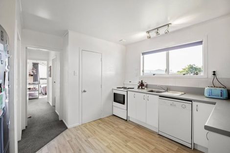 Photo of property in 58 Aurora Terrace, Hillcrest, Hamilton, 3216