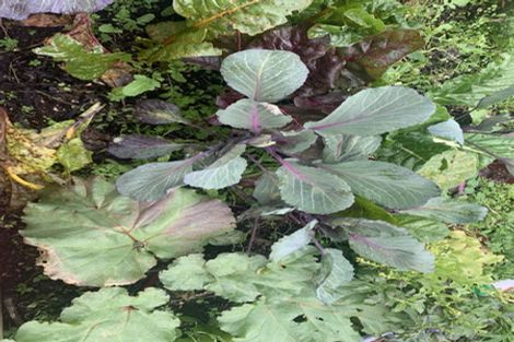 Photo of property in 63 Ranui Terrace, Tawa, Wellington, 5028