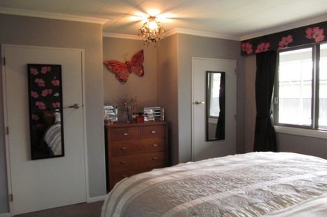 Photo of property in 17 Campbell Street, Alexandra, 9320