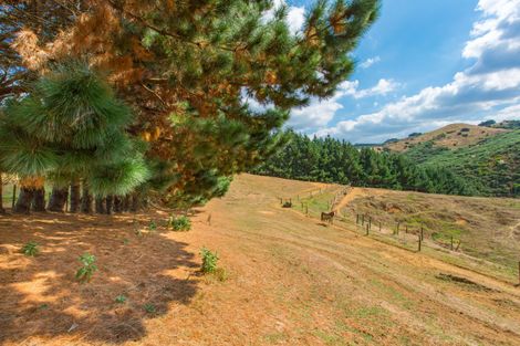 Photo of property in 94b Wilton Collieries Road, Glen Massey, Ngaruawahia, 3794