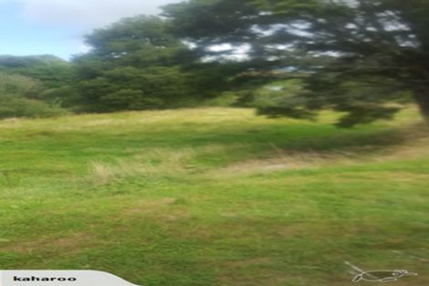 Photo of property in 2803 State Highway 4, Aria, Te Kuiti, 3983