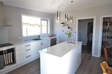 Photo of property in 46 Ventry Street, Alexandra, 9320