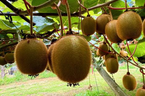 Photo of property in 29 I'anson Road, Minden, 3179