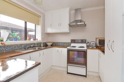 Photo of property in 34b Fitzroy Street, Terrace End, Palmerston North, 4410