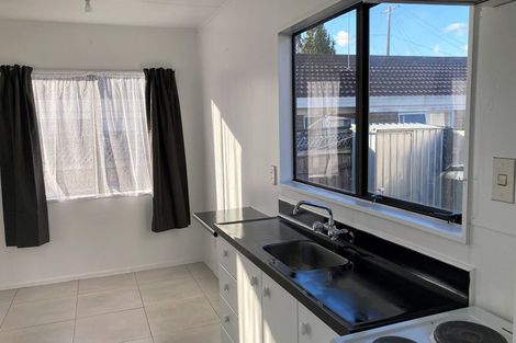 Photo of property in 128b Nixon Street, Hamilton East, Hamilton, 3216