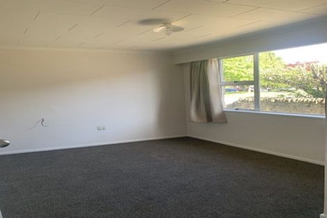 Photo of property in 5 Kelman Street, Alexandra, 9320