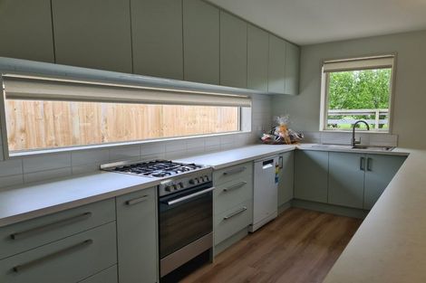 Photo of property in 19 Merlin Terrace, Rolleston, 7615