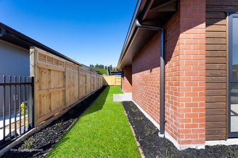 Photo of property in 217 Adler Drive, Ohauiti, Tauranga, 3112