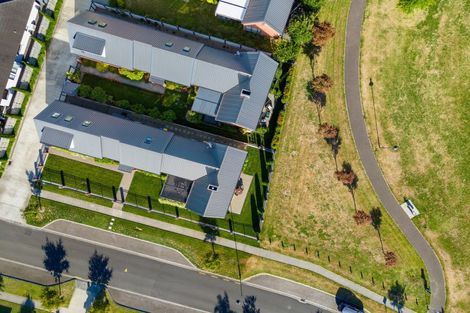 Photo of property in 39 Pengover Avenue, Leamington, Cambridge, 3432