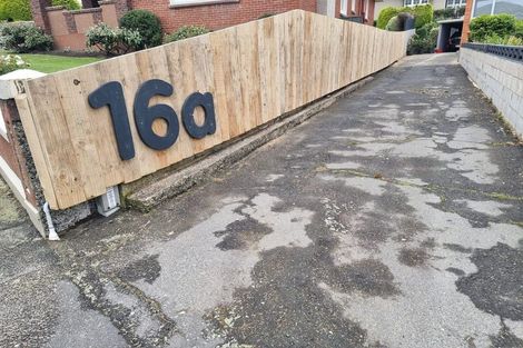 Photo of property in 16 Elliot Street, Andersons Bay, Dunedin, 9013