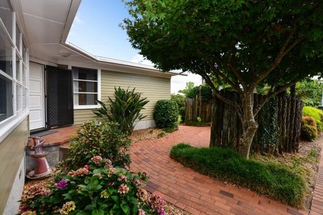 Photo of property in 12 Carlyle Avenue, Chartwell, Hamilton, 3210