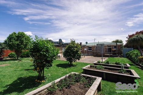 Photo of property in 26 Casper Street, Fairfield, Hamilton, 3214