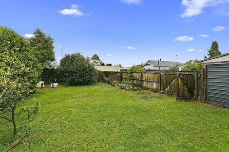 Photo of property in 113 Buckland Street, Putaruru, 3411