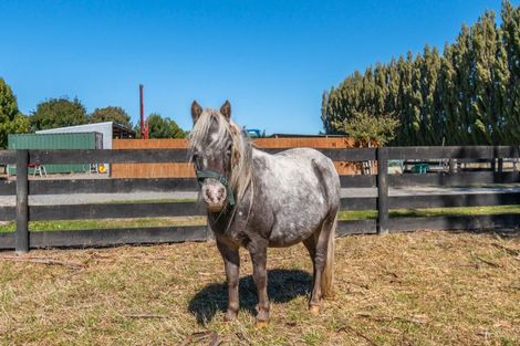 Photo of property in 645 Tancreds Road, Lincoln, Christchurch, 7676