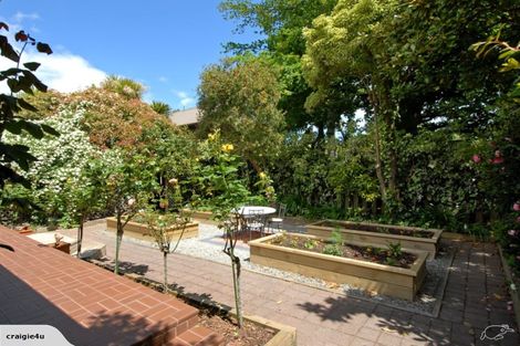 Photo of property in 67 Manuka Street, Lansdowne, Masterton, 5810