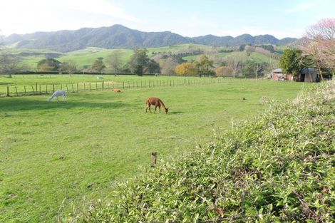 Photo of property in 84 Old Te Aroha Road, Te Poi, Matamata, 3473