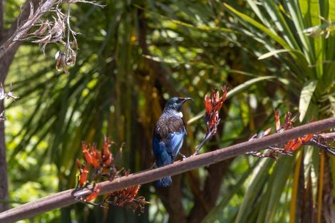Photo of property in 277 Rodney Road, Whangateau, 0985