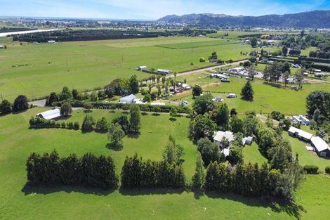 Photo of property in 262 Te Rahu Road, Poroporo, Whakatane, 3193