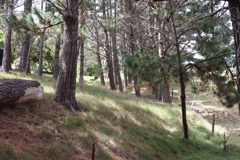 Photo of property in 178 Wilton Collieries Road, Glen Massey, Ngaruawahia, 3794