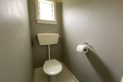 Photo of property in 38 Limbrick Street, Terrace End, Palmerston North, 4410