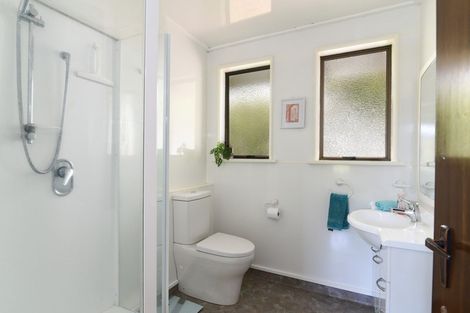 Photo of property in 38 Littlebourne Road, Roslyn, Dunedin, 9010