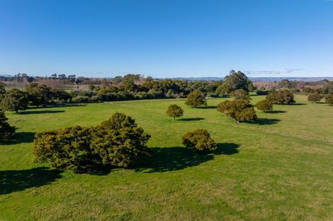 Photo of property in 151 Humphries Street, Woodside, Greytown, 5794