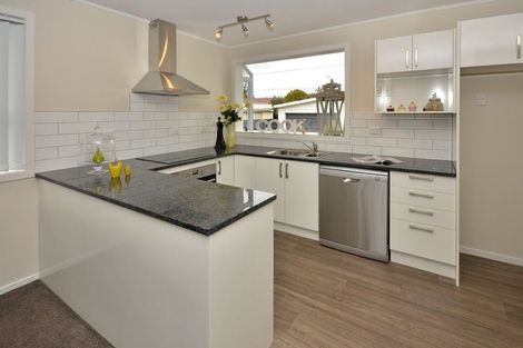 Photo of property in 19 Addington Avenue, Manurewa, Auckland, 2102