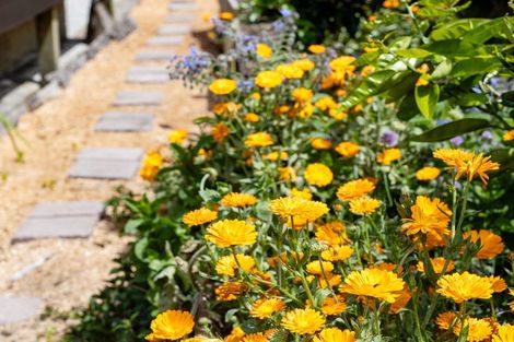 Photo of property in 27 Churchill Avenue, Maeroa, Hamilton, 3200