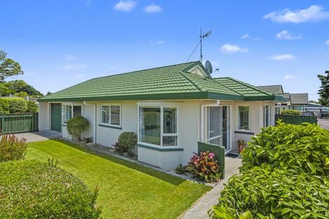 Photo of property in 4 Clark Street, Levin, 5510